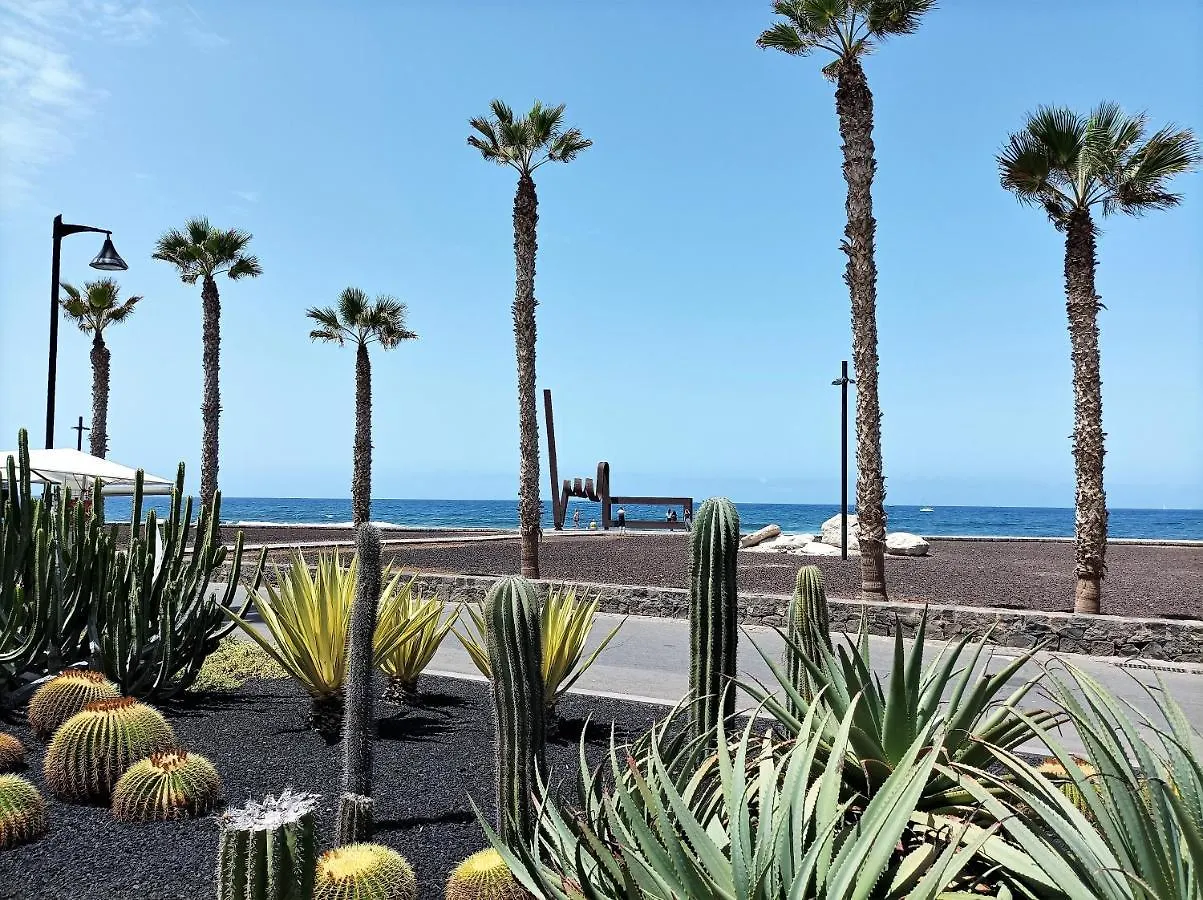 Joy Tenerife Charming House San Miguel de Abona Spain